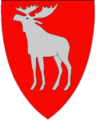Ringsaker kommune